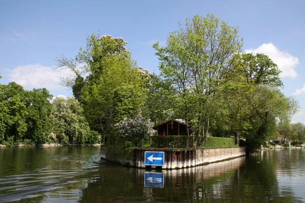 Arbrisseaux Sur Les Rives Havel Brandenburg Havel — Photo