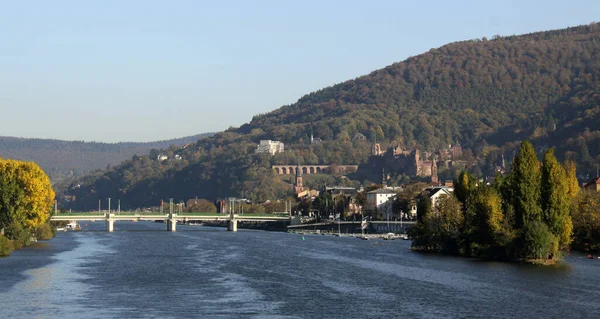 Overlooking Neckar Heidelberg — Stock Photo, Image