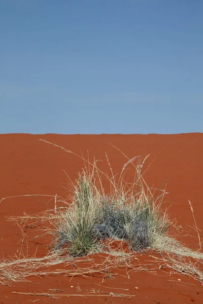 Zicht Woestijnlandschap Namibië — Stockfoto