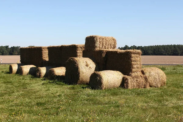 Tractor Hay Bales Meadow Front Field — Stock Photo, Image