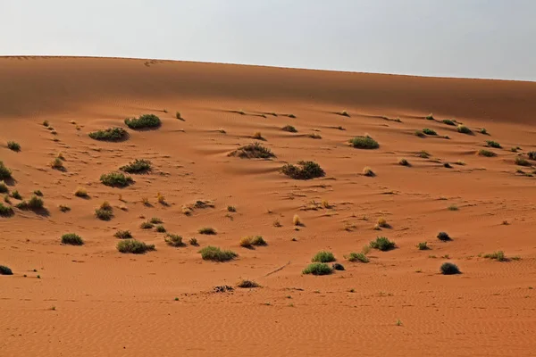 Sossusvlei Located Southern Part Namib Desert — Stock Photo, Image