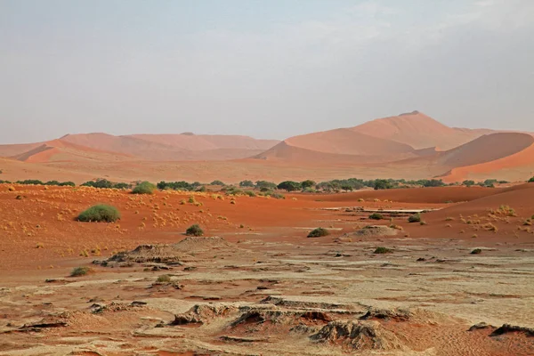 Sossusvlei Gelegen Het Zuidelijke Deel Van Namibische Woestijn — Stockfoto