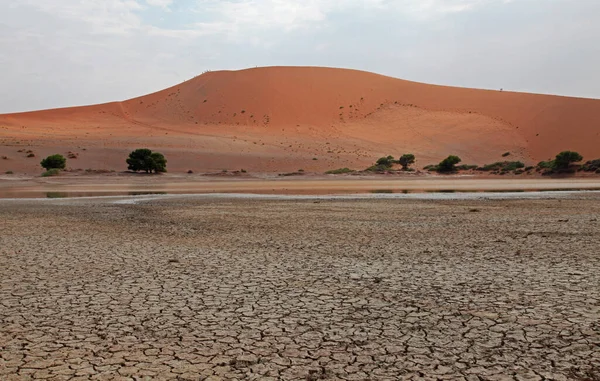 Zicht Woestijnlandschap Namibië — Stockfoto