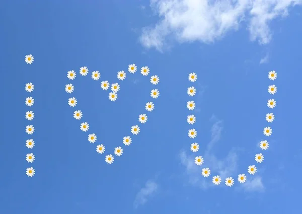 Bunter Hintergrund Für Valentinstag Karte — Stockfoto