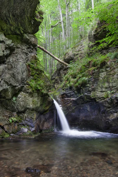 Vacker Vattenfall Naturen Bakgrund — Stockfoto