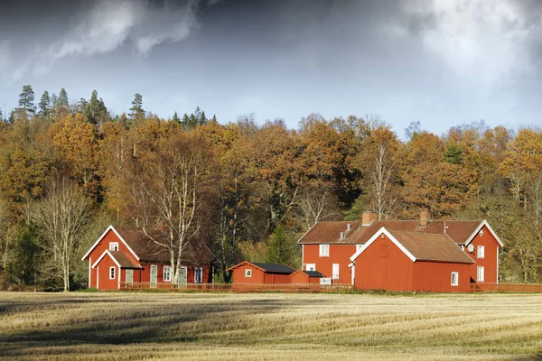 Стара Червона Ферма Осіннім Лісом Темні Хмари Рухаються Всередину Шведів — стокове фото