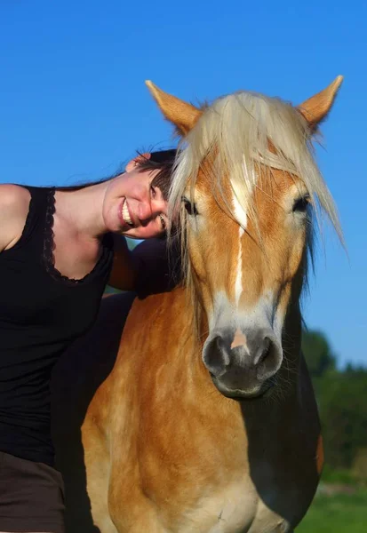 Rijden Het Friese Paard Zomer — Stockfoto