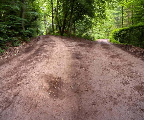 Pohled Křižovatku Lesních Asfaltových Cest Léto Panoramatický Xxl Sársko Německo — Stock fotografie