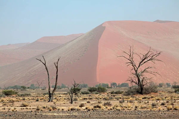 Dune Dans Parc Namib Naukluft — Photo