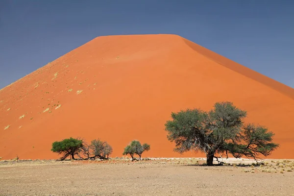 Dune Στο Πάρκο Namib Naukluft — Φωτογραφία Αρχείου
