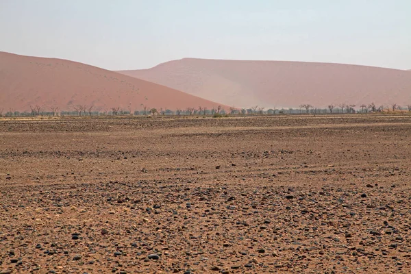 Panoramisch Uitzicht Duinen Selectieve Focus — Stockfoto