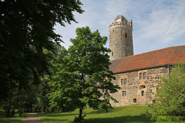 Malowniczy Widok Majestatycznej Średniowiecznej Architektury Zamku — Zdjęcie stockowe