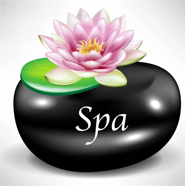 Svart Massage Spa Sten Som Bakgrund Med Lotus Blomma — Stockfoto