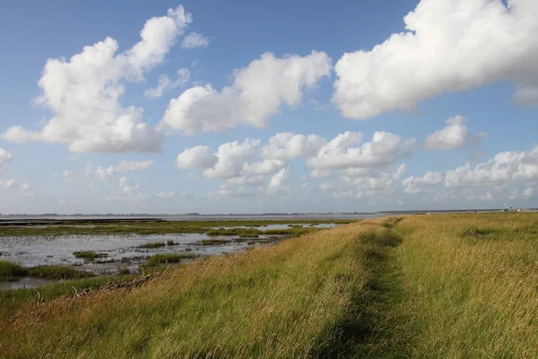 Landskap Nordsjön — Stockfoto