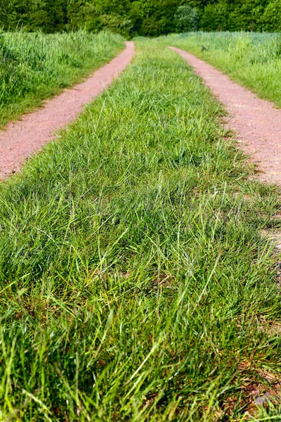 Vuile Weg Een Veld Een Zonnige Avond Rechts Links Maïsveld — Stockfoto