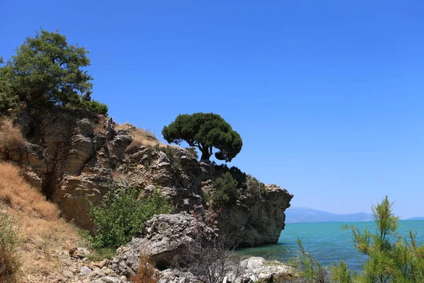 Schöne Aussicht Auf Die Natur — Stockfoto