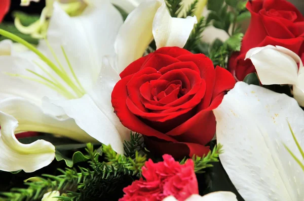 Rosa Vermelha Com Buquê Flores — Fotografia de Stock