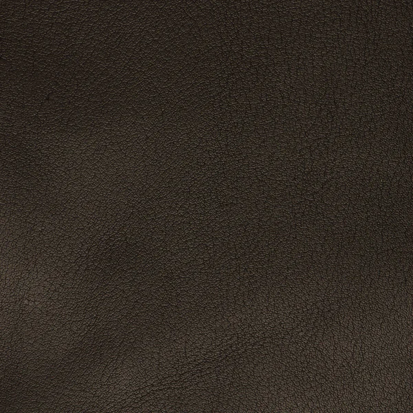 Green Leather Texture Closeup Background — Stock Photo, Image