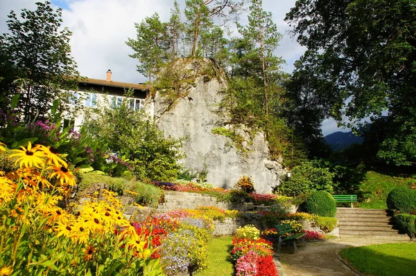 Kurpark Van Grainau Zugspitze Bloemen Overwoekerde Rots — Stockfoto