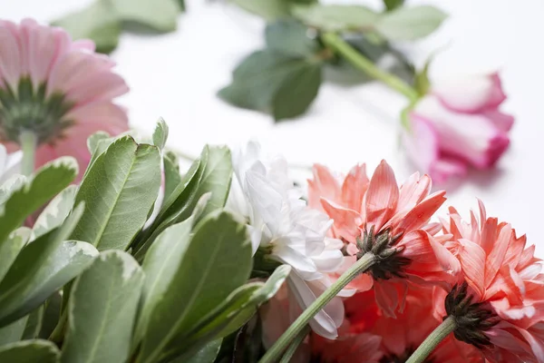 Esquejes Flores Que Preparan Para Ser Arreglado Para Hacer Ramo — Foto de Stock