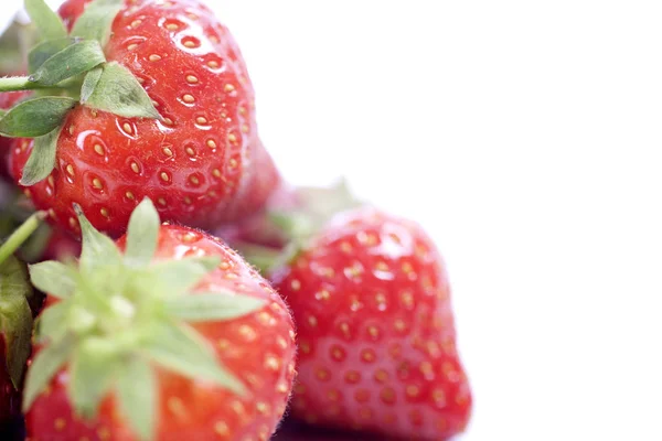 Fresas Frescas Sobre Fondo Aislado — Foto de Stock