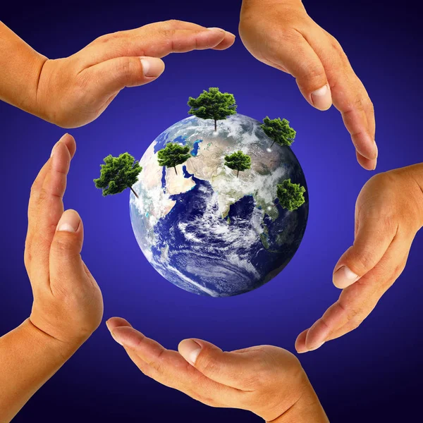 Male Hand Holding Earth Tree — Stock Photo, Image