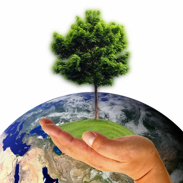 Manlig Hand Håller Jorden Med Träd Inslag Denna Bild Som — Stockfoto