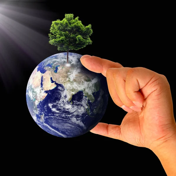 Manlig Hand Håller Jorden Med Träd Inslag Denna Bild Som — Stockfoto