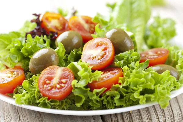 Salad Segar Dengan Tomat Zaitun Selada Dan Mentimun — Stok Foto