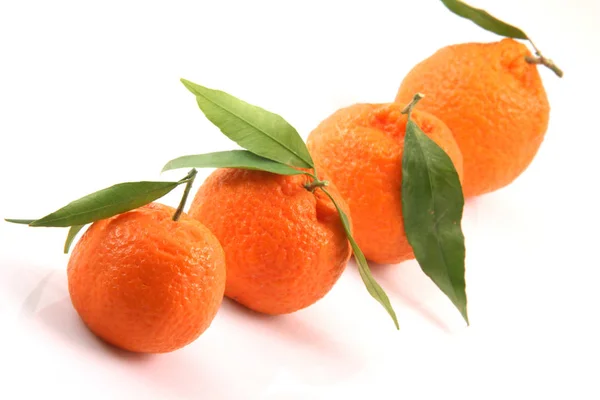 Quatro Mandarina Frente Para Cima Vista Com Espaço Cópia Isolado — Fotografia de Stock