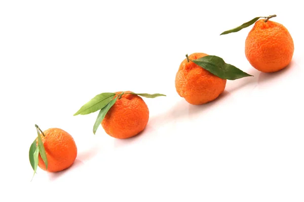 Quatro Mandarina Frente Para Cima Vista Com Espaço Cópia Isolado — Fotografia de Stock