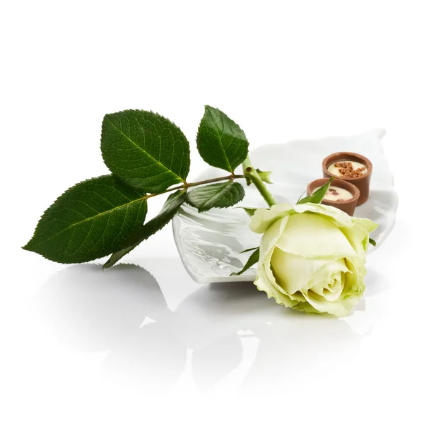 Halványsárga Rózsa Virág Csokoládé Szarvasgomba Porcelán Tál Fehér — Stock Fotó