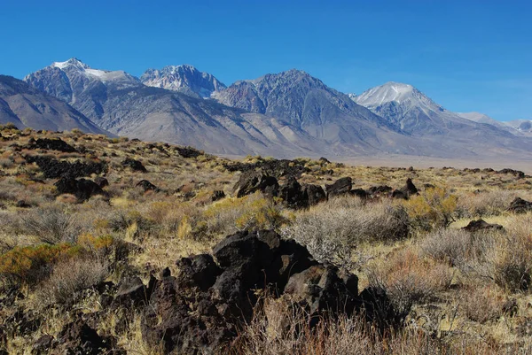 Formazioni Laviche Sierra Nevada Vicino Grandi Pini California — Foto Stock