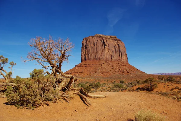 Monument Vallée Arizona Tourisme — Photo