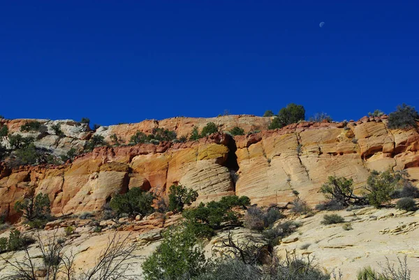 Bunte Felsen Fichte Flache Straße Utah — Stockfoto