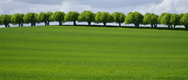 Bella Vista Sulla Natura — Foto Stock