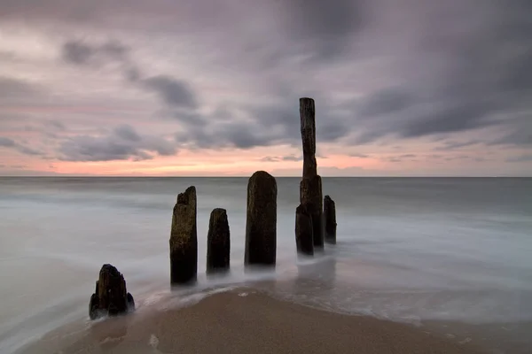 Groynes Baltském Moři — Stock fotografie