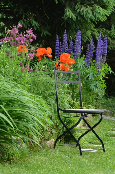 Καρέκλα Κήπου Λουλούδι Κρεβάτι Πολύχρωμο — Φωτογραφία Αρχείου