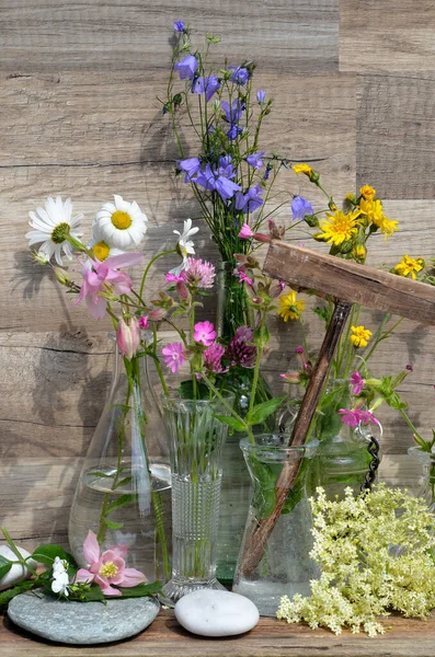Fűszernövény Rét Virágok Váza — Stock Fotó