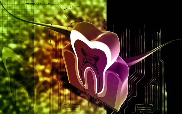 Fogak Keresztmetszetének Digitális Illusztrációja Színes Háttérrel — Stock Fotó