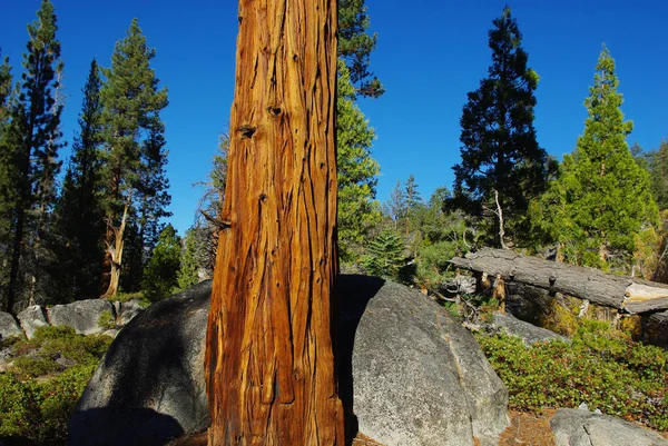 Edison Lake California — Stock Photo, Image