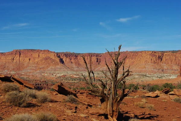 Paisaje Arrecifes Capitol Utah — Foto de Stock