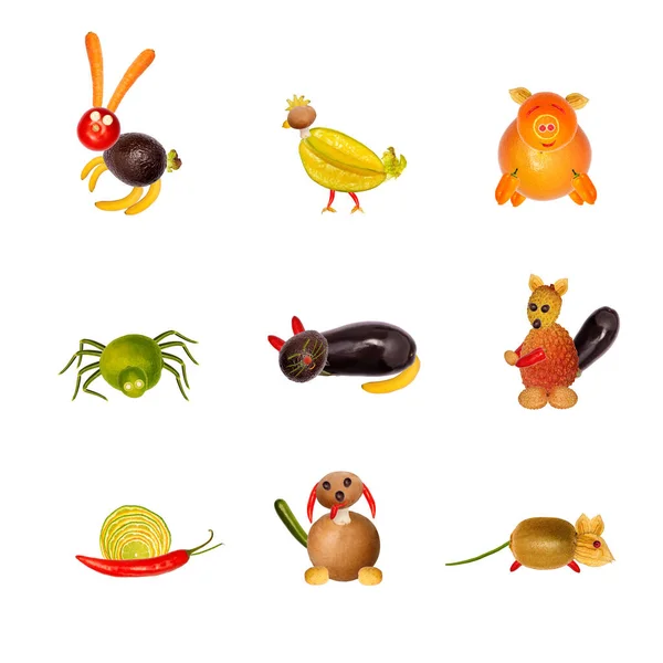 Various Animals Fruits Vegetables – stockfoto