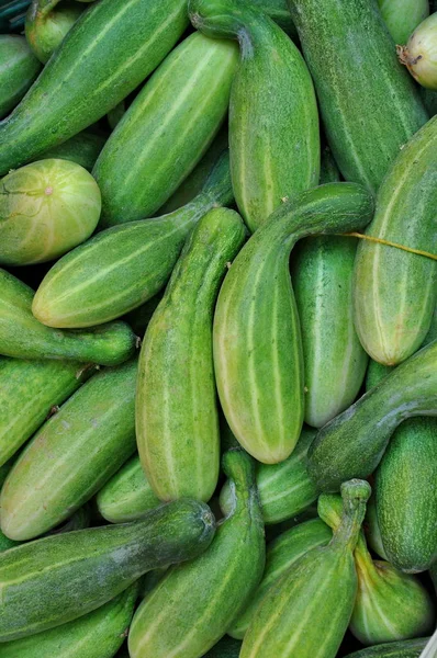 Cucumbers Bunched Together Sale Market — Stock Photo, Image