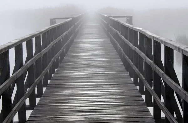 Пешеходный Мост Утреннем Тумане — стоковое фото
