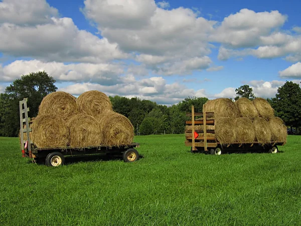 Een Foto Van Twee Boerderij Wagons Geladen Met Hooi — Stockfoto