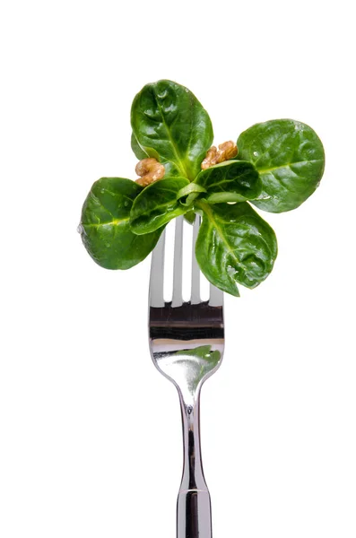Green Lettuce Walnuts Fork — Stock Photo, Image