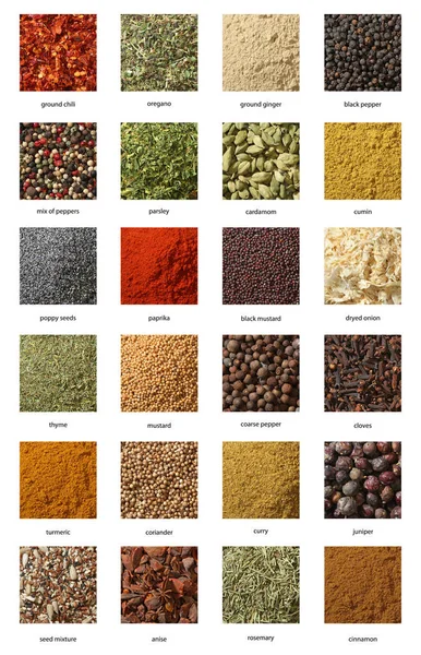 Different Spices Various Colours Textures — Stock Photo, Image