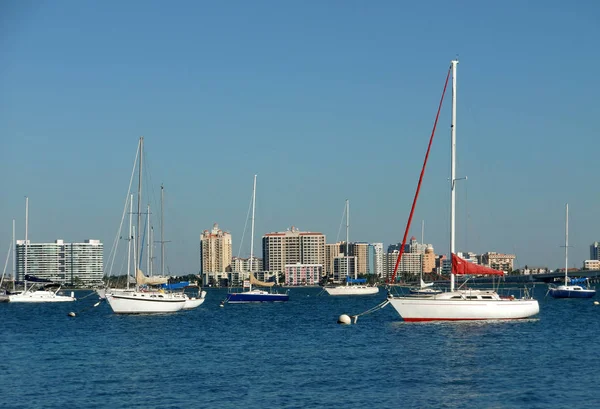 Blick Auf Den Sarasota — Stockfoto