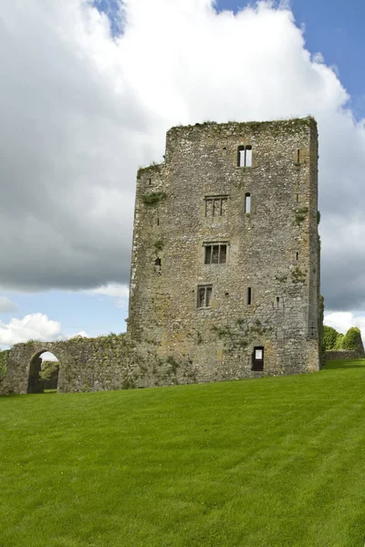Zamek Babcia Waterford Irlandia — Zdjęcie stockowe